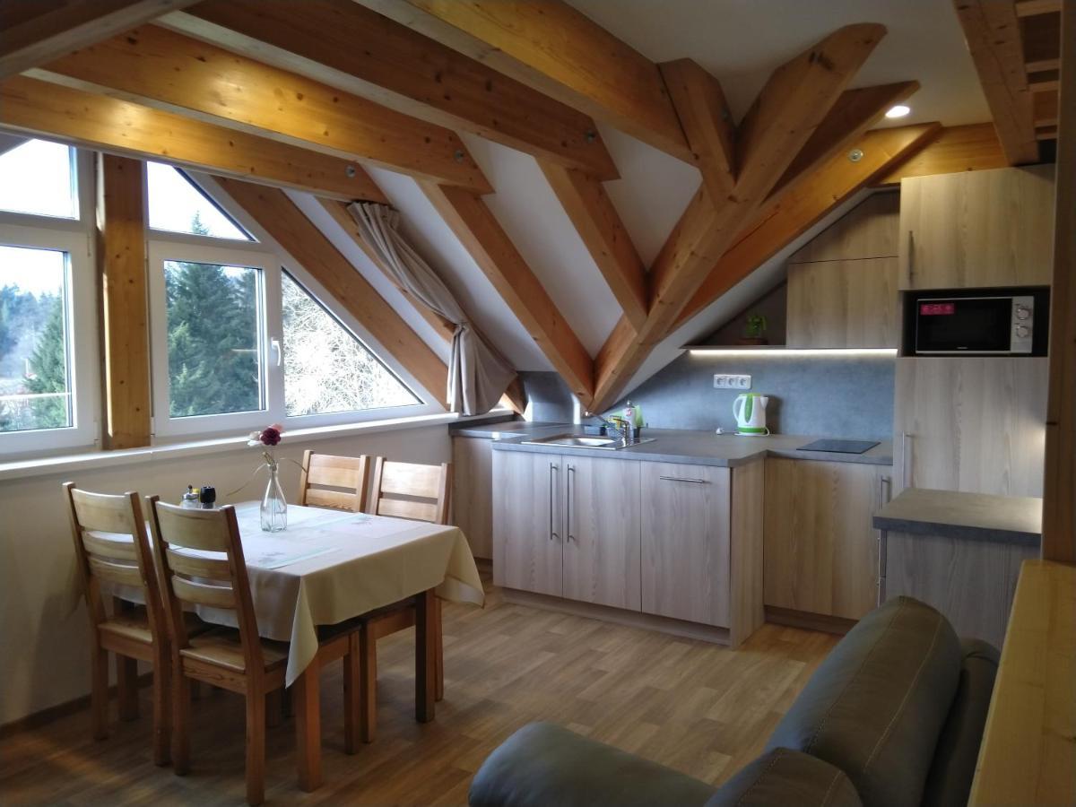 Apartmany Na Vysluni Horní Maxov 外观 照片