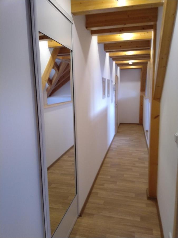 Apartmany Na Vysluni Horní Maxov 外观 照片